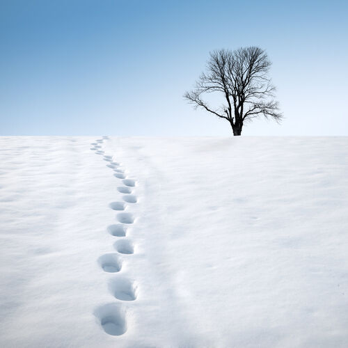 Personalised email footer Foosteps in the snow